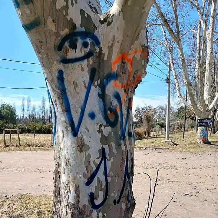 MDN